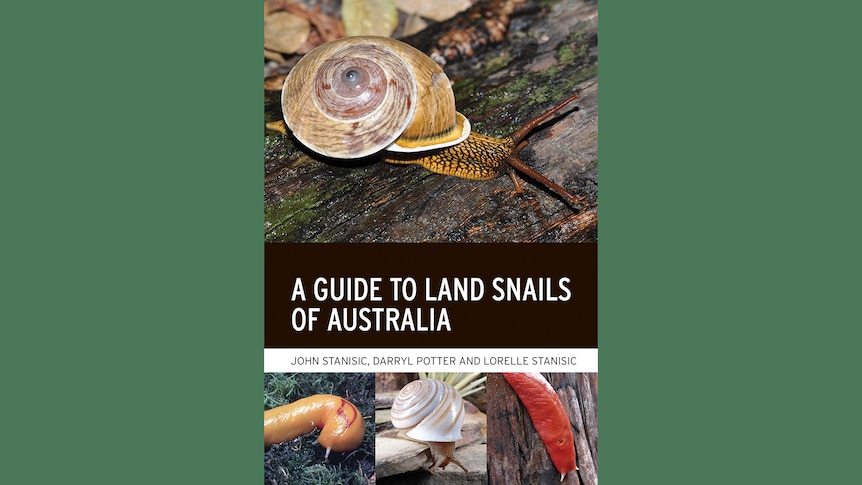 Book cover - A Guide to Land Snails of Australia