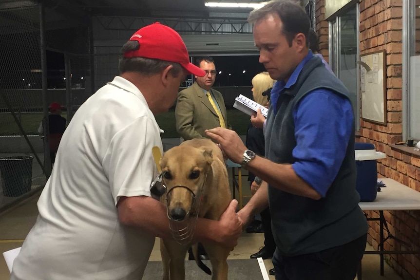 Two men weigh a greyhound.