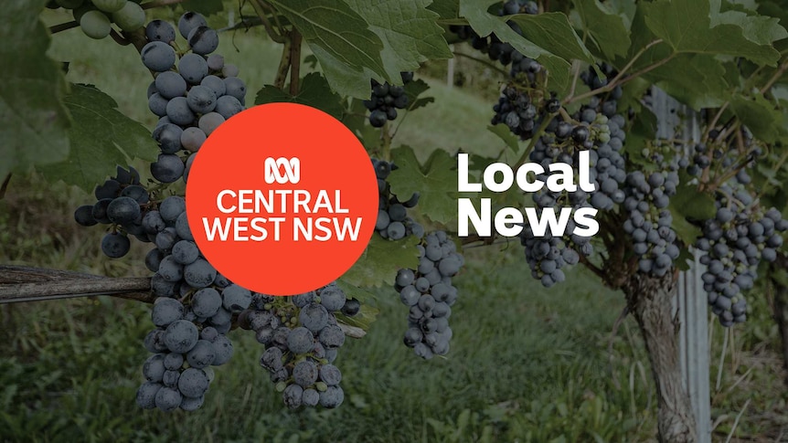 A grapevine in the background, with ABC Central West logo and Local News superimposed over the top.