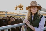  A woman in a brimmed hat, long-sleeve shirt and vest stands leaning on a cattle fence, cattle behind her