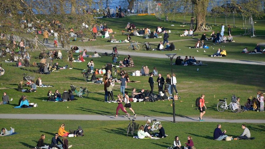 People gather in a park in Stockholm, Sweden, during the coronavirus pandemic.