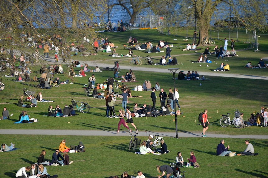 People gather in a park in Stockholm, Sweden, during the coronavirus pandemic.