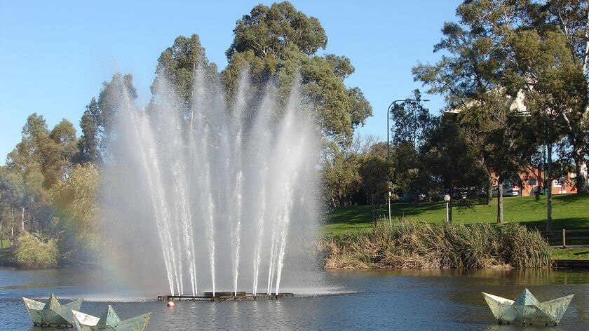 More flow failed to stop algal problems in the Torrens lake