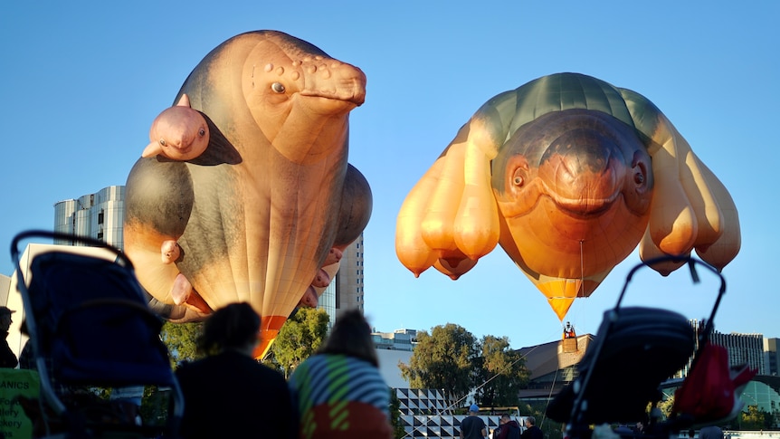 The famous Skywhale balloon accompanied by Skywhale Papa.