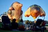 The famous Skywhale balloon accompanied by Skywhale Papa.
