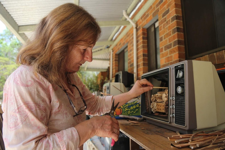 Louise Cosgrove making a 'hotel' for bees out of recycled analog TVs