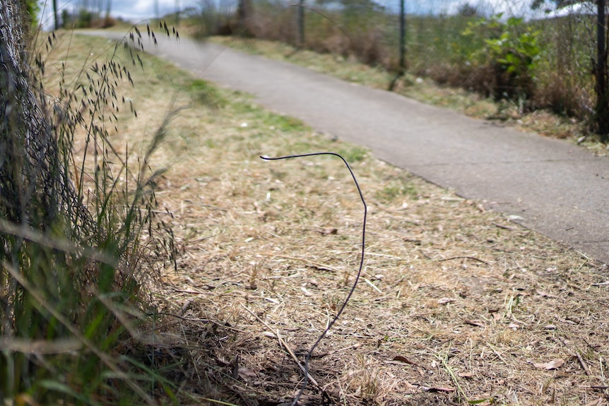 A wire poking out from the ground alongside a path.