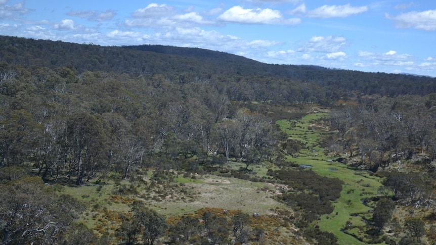 The headwaters of south east Australia’s largest rivers begin in Kosciuszko National Park