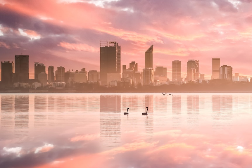 A pink sunrise looking over the Swan River in Perth