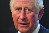 Prince Charles dressed in a suit.