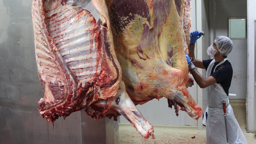 a man in a meatworks trimming a carcass with a knife.