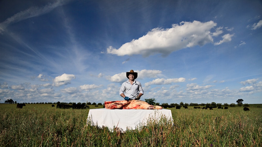 A farmer stands in a paddock and is about to carve up a beef carcass