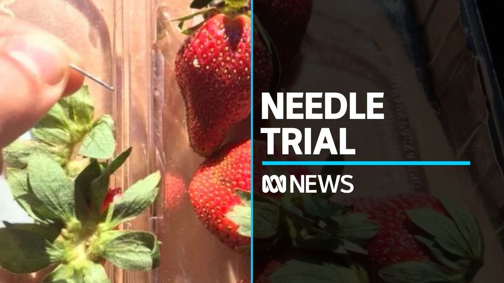 Strawberry sabotage charges abandoned by QLD prosecutors - ABC News