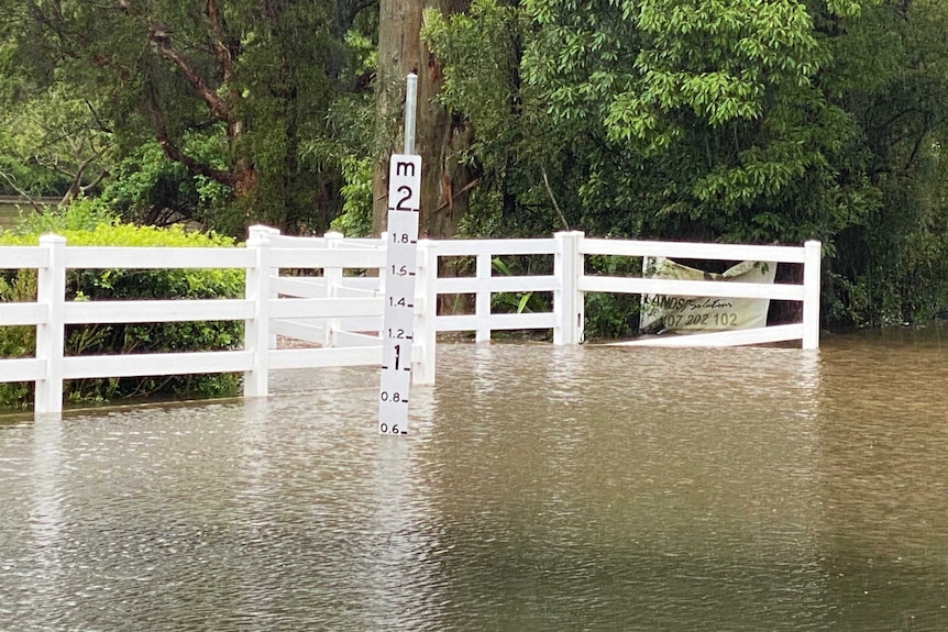 Flood waters against a flood gauge reading 0.6 metres