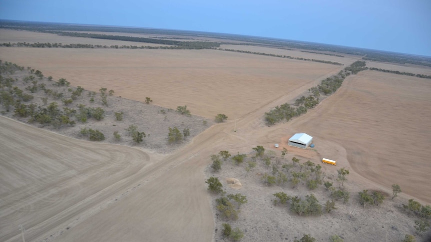 Drought affected cropping country around west of Walgett