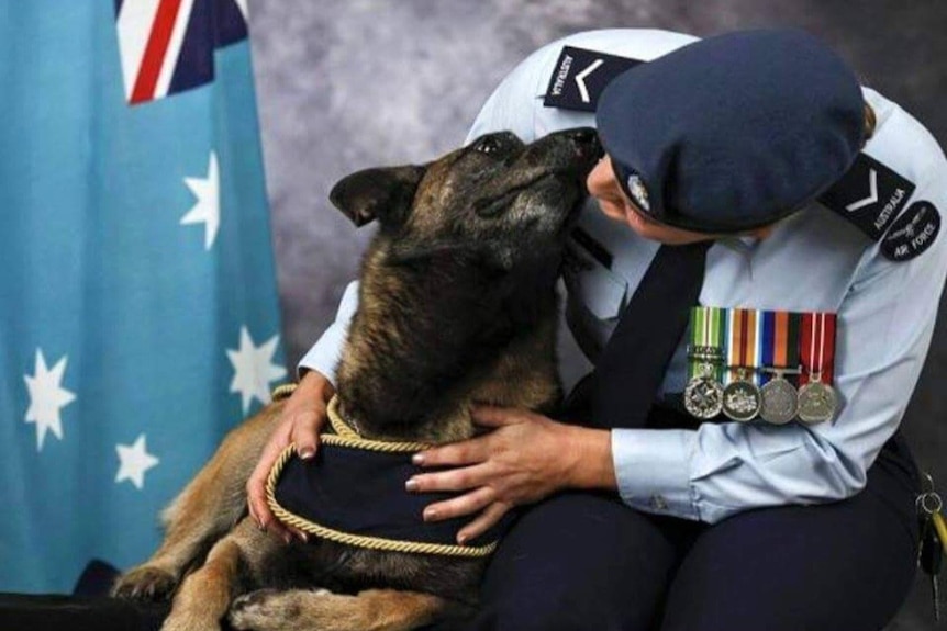 A woman in military uniform and a dog with their faces in close while posing for a photo.