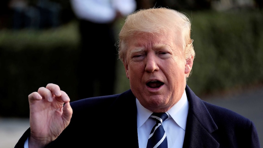 Donald Trump presses his index finger and thumb together as he speaks outside the white house.