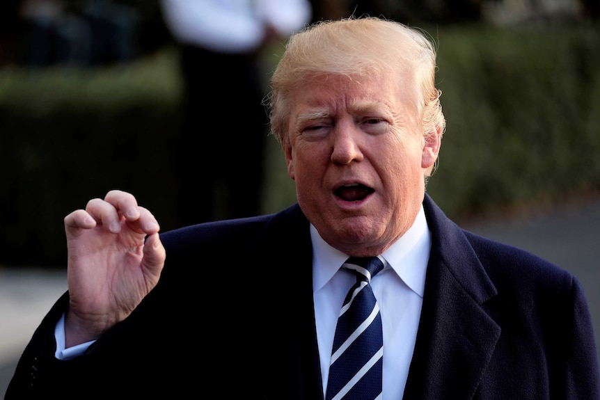 Donald Trump presses his index finger and thumb together as he speaks outside the white house.