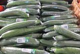 shrink wrapped cucumbers in major supermarket. 
