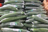 the shrink wrap on cucumbers keeps its fresh