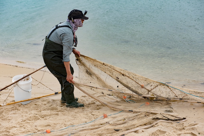 A man in waders pulls in a net on the shore