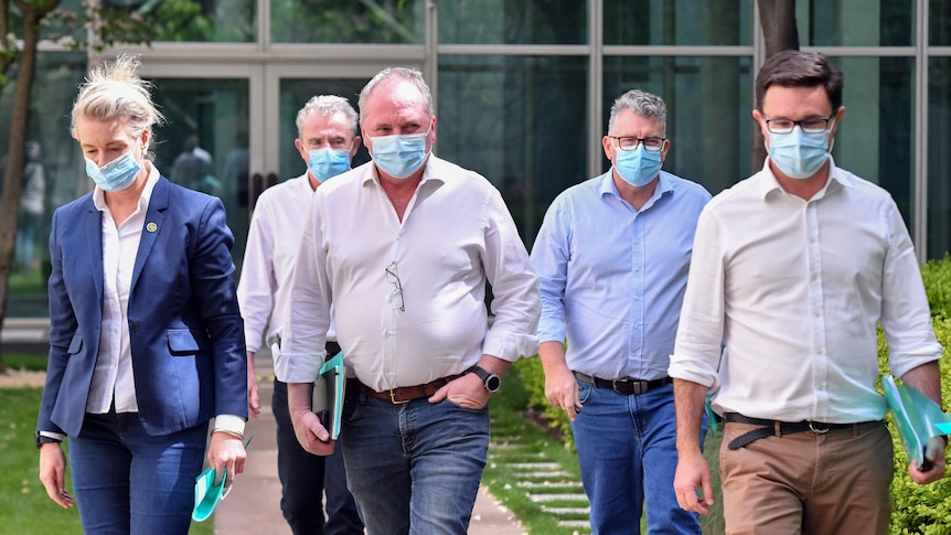 Bridget McKenzie, Barnaby Joyce, Keith Pitt and David Littleproud wear masks as they walk towards together in a group