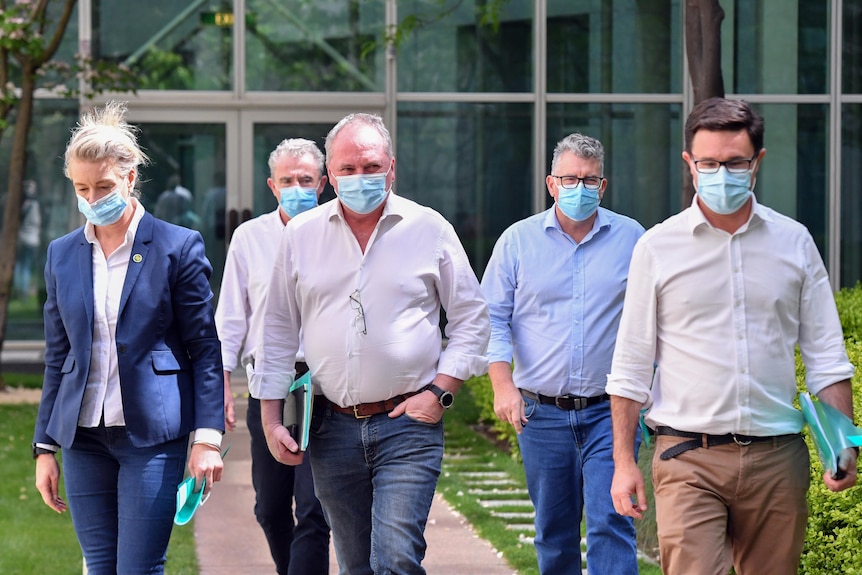 Bridget McKenzie, Barnaby Joyce, Keith Pitt and David Littleproud wear masks as they walk towards together in a group