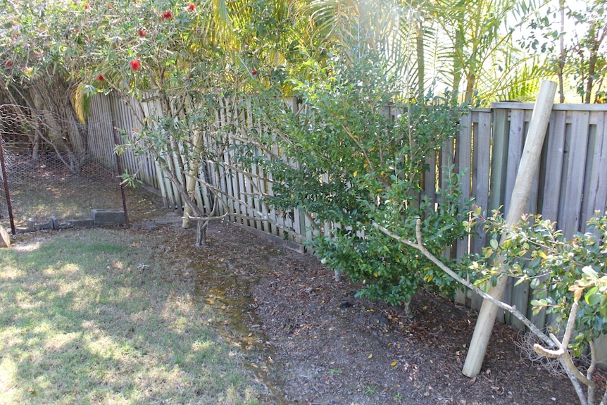 Timber posts against a fence in backyard