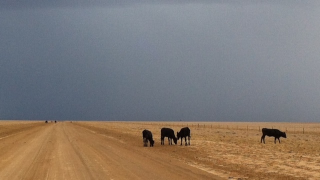 Storm clouds gather over western Queensland