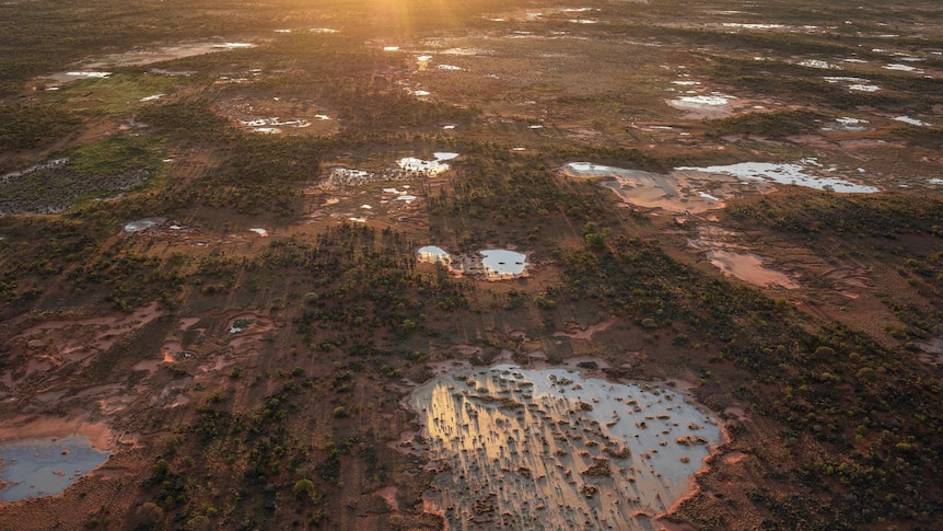 A red earth landscape dotted with wetlands and shrubs, viewed from above.
