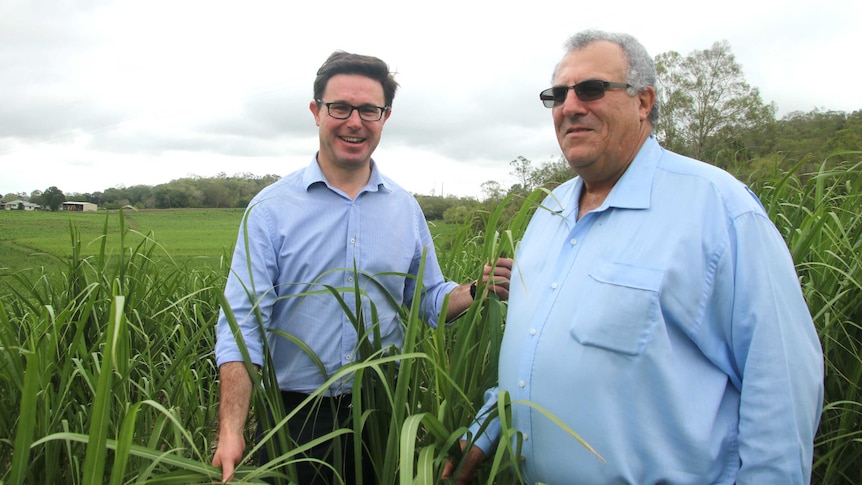 Agriculture Minister David Littleproud and Canegrowers chair Paul Schembri