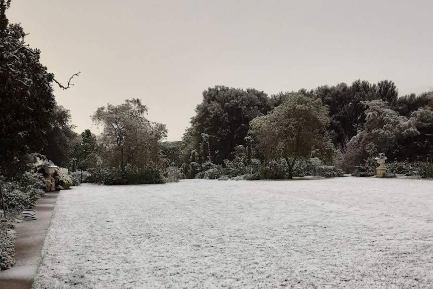 A backyard covered in snow.