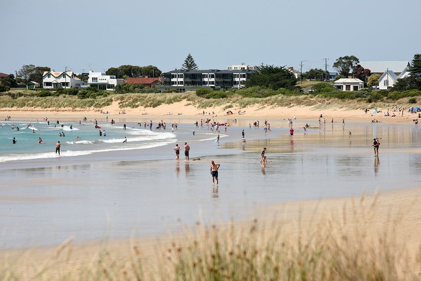 A wide shot of a beach with people and swimmers in the water, beyond sandy grass. A township can be seen in the distance.