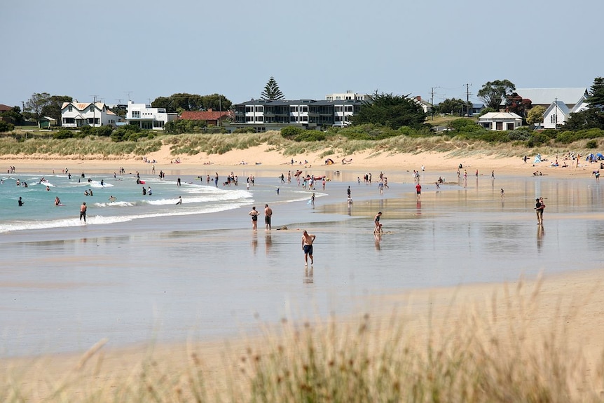 a beach scene with people on the sand and tress in the background