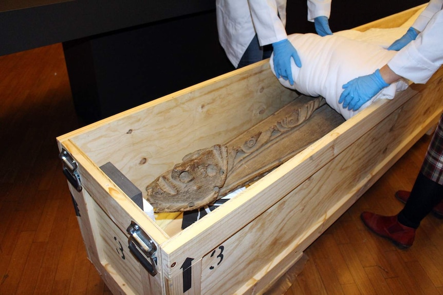 A 6.3 metre long wooden crocodile from Papua New Guinea is unwrapped in its crate at the National Gallery of Australia.