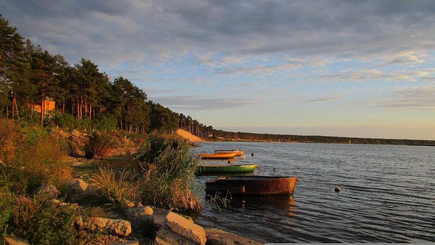 Dune forests of Vidzeme coast at sunset, with boats moored along a rocky bank with trees stretching off into the distance.