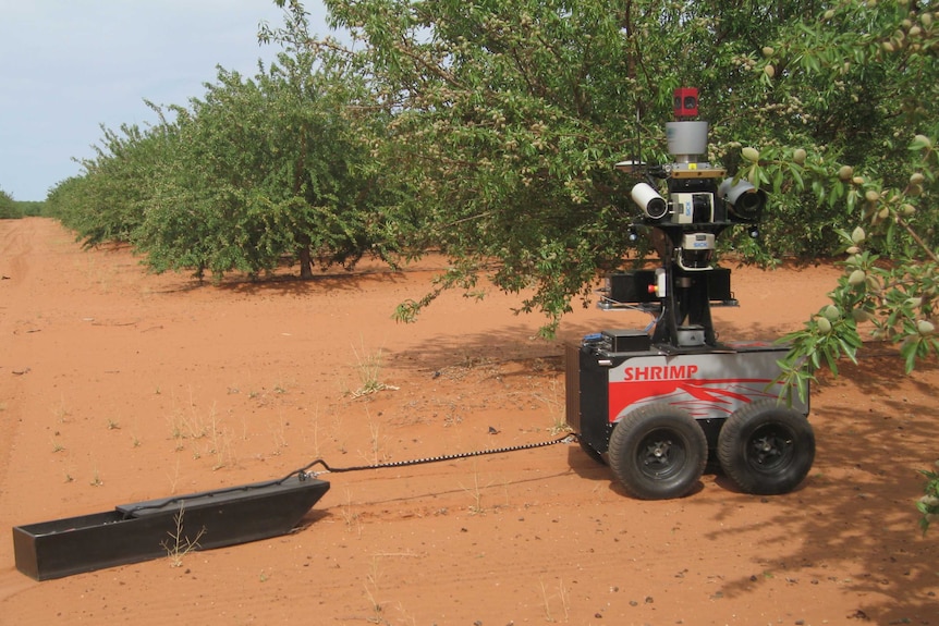 The robots were trialled on almond, apple, lychee, custard apple, avocado and banana farms.