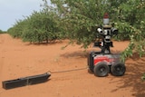 The robots were trialled on almond, apple, lychee, custard apple, avocado and banana farms.