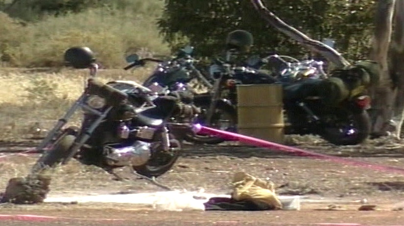 Some Harley Davidson motorcycles in a bush setting with police crime tape over them.