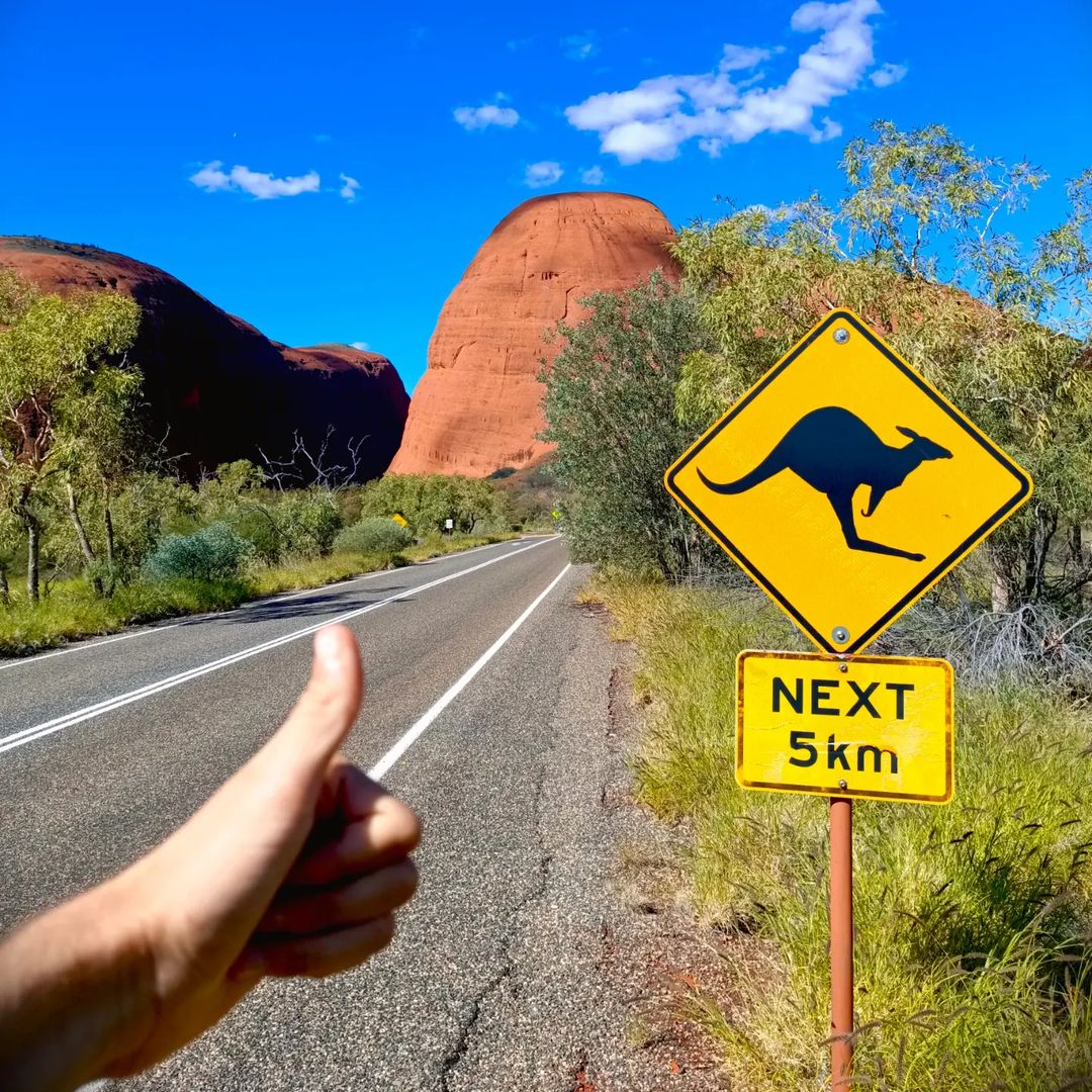 A picture of a hand making a thumbs up next to the side of a road with a kangaroo warning sign
