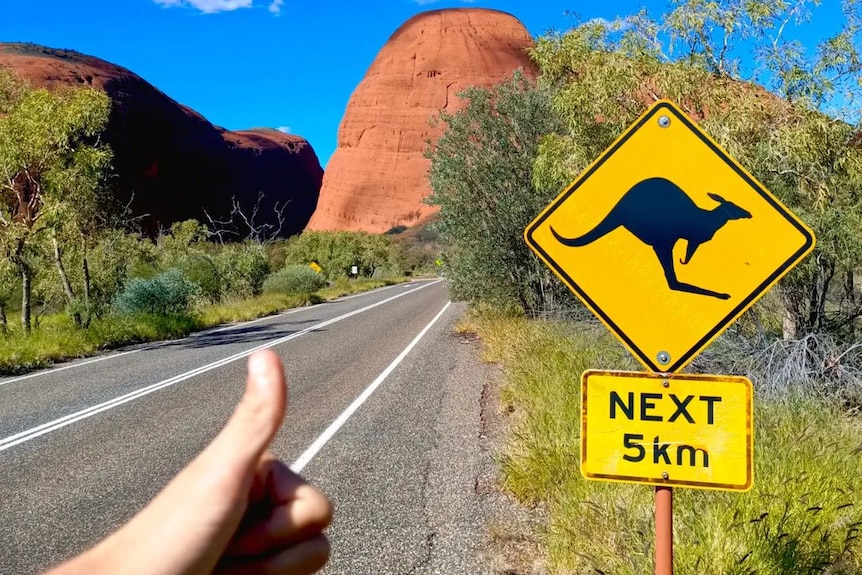 A picture of a hand making a thumbs up next to the side of a road with a kangaroo warning sign