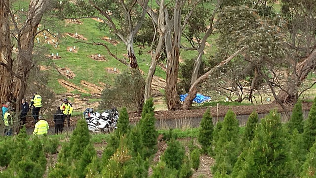 Targa rally crash