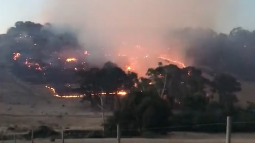 Fire fought off at Grampians winery