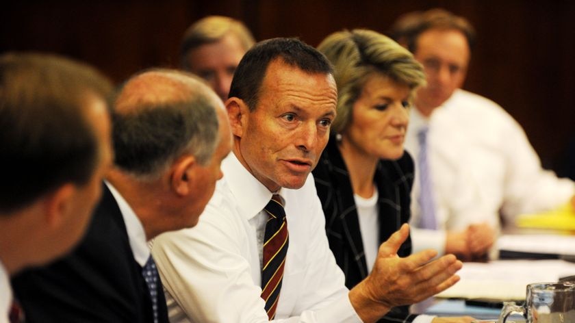 Opposition leader Tony Abbott speaks at a Shadow Cabinet press conference in Sydney (AAP: Tracey Nearmy)