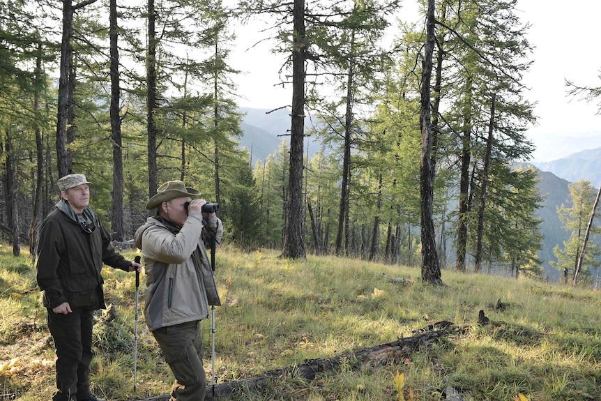Vladimir Putin stands in a forest looking through binoculars.