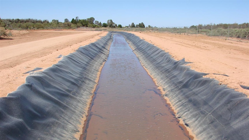 Irrigation dam with plastic lining