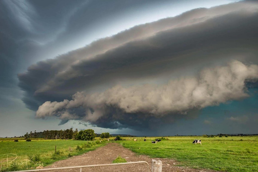 Arcus shelf cloud over a green field