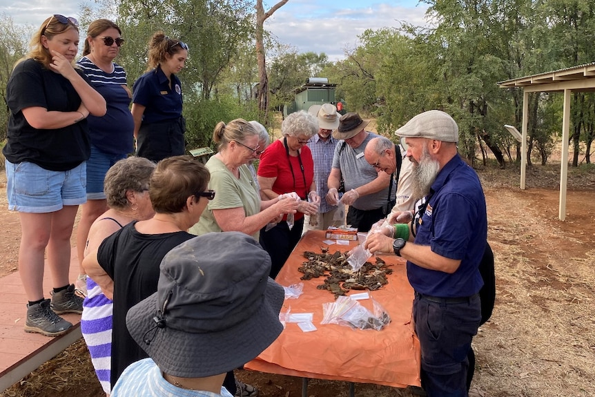 A group of people bagging toads.