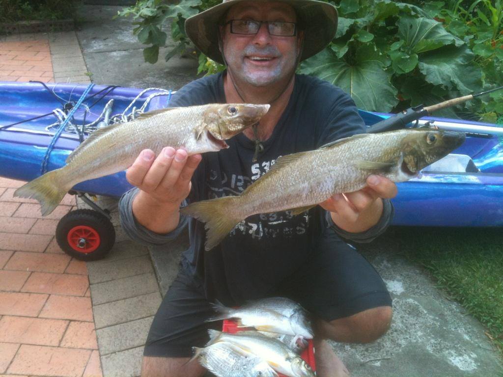 The Big Fish: Fishing your Backyard