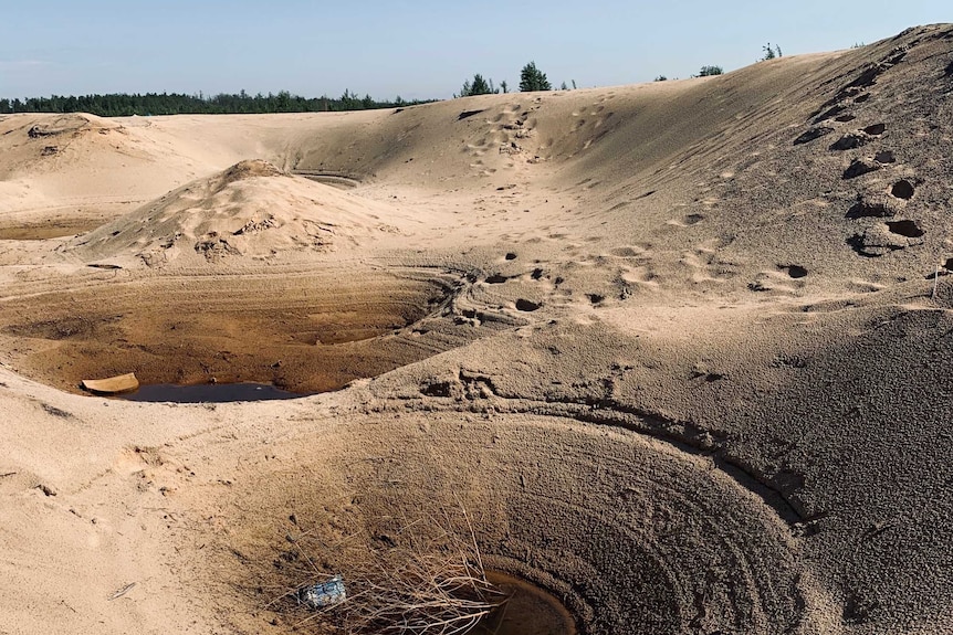 A sandy landscape where miners searched for amber.